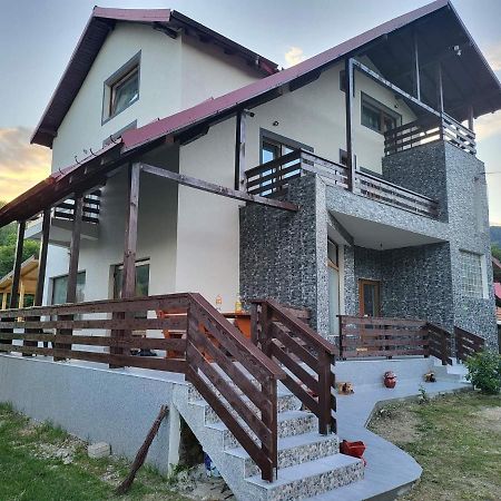 Pensiunea Ricky Căpăţîneni-Ungureni Buitenkant foto