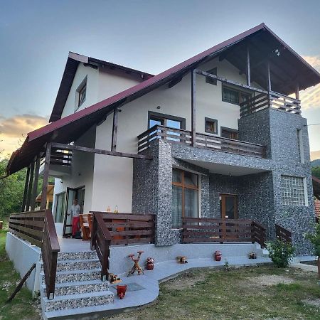 Pensiunea Ricky Căpăţîneni-Ungureni Buitenkant foto