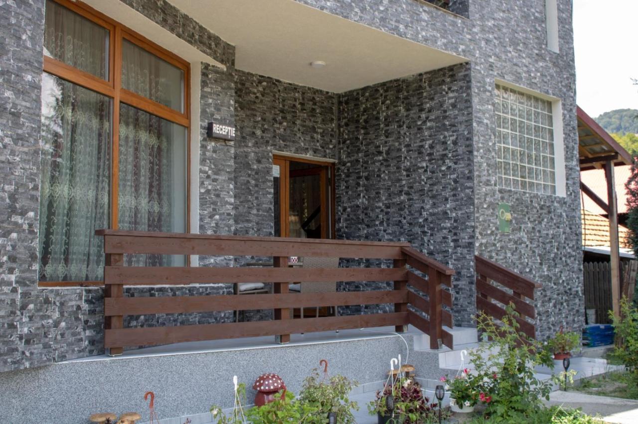 Pensiunea Ricky Căpăţîneni-Ungureni Buitenkant foto