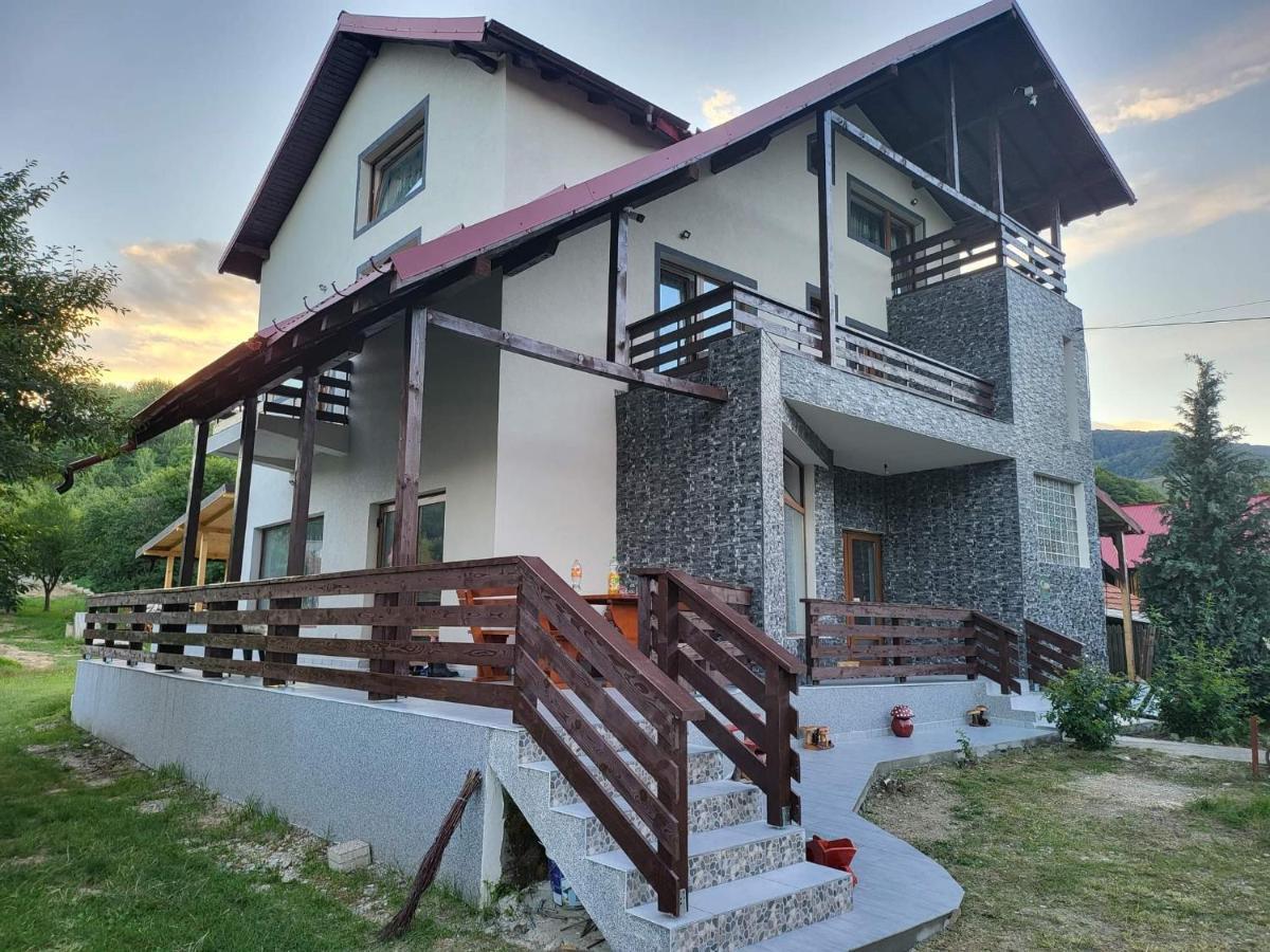 Pensiunea Ricky Căpăţîneni-Ungureni Buitenkant foto