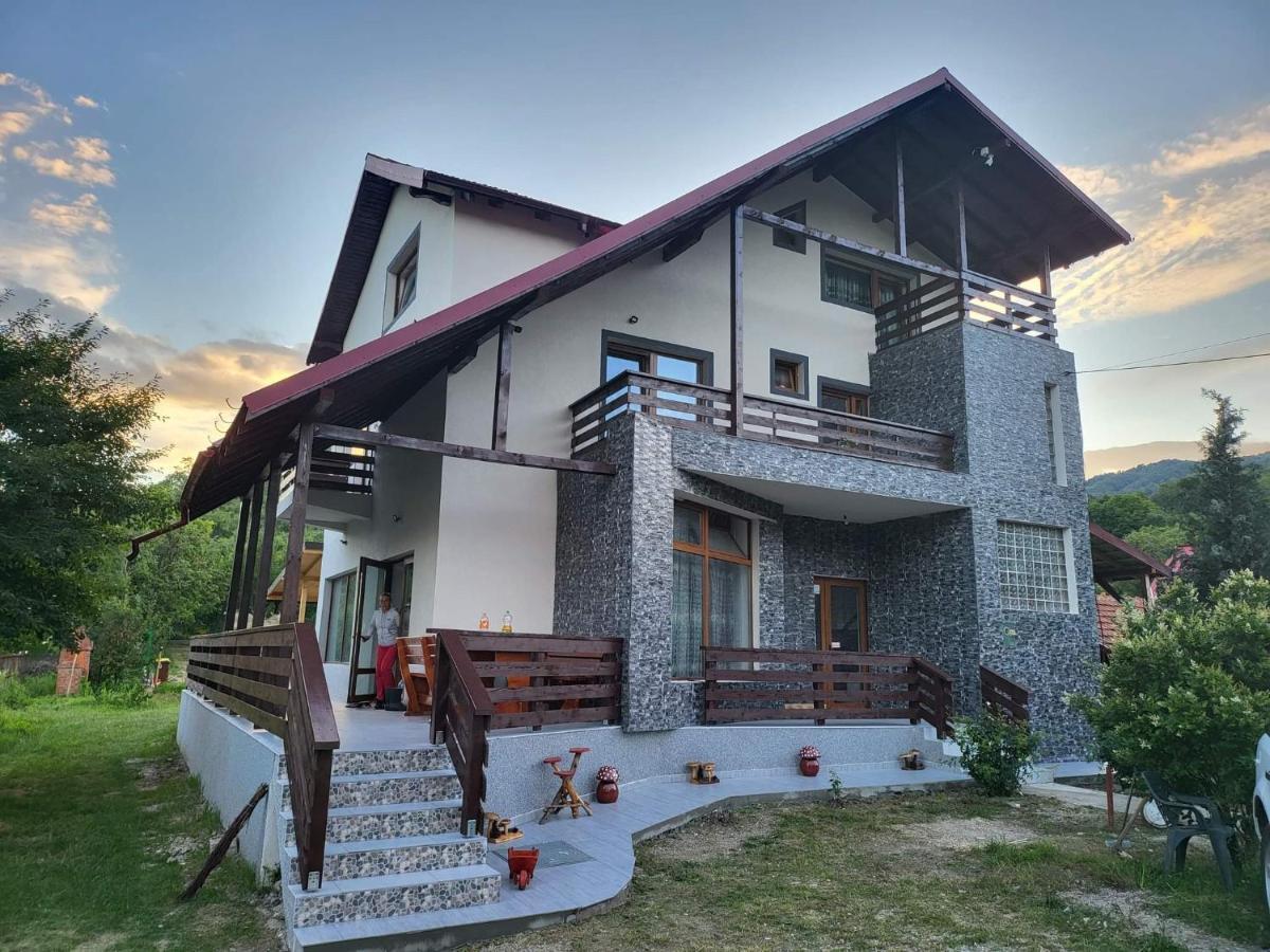 Pensiunea Ricky Căpăţîneni-Ungureni Buitenkant foto