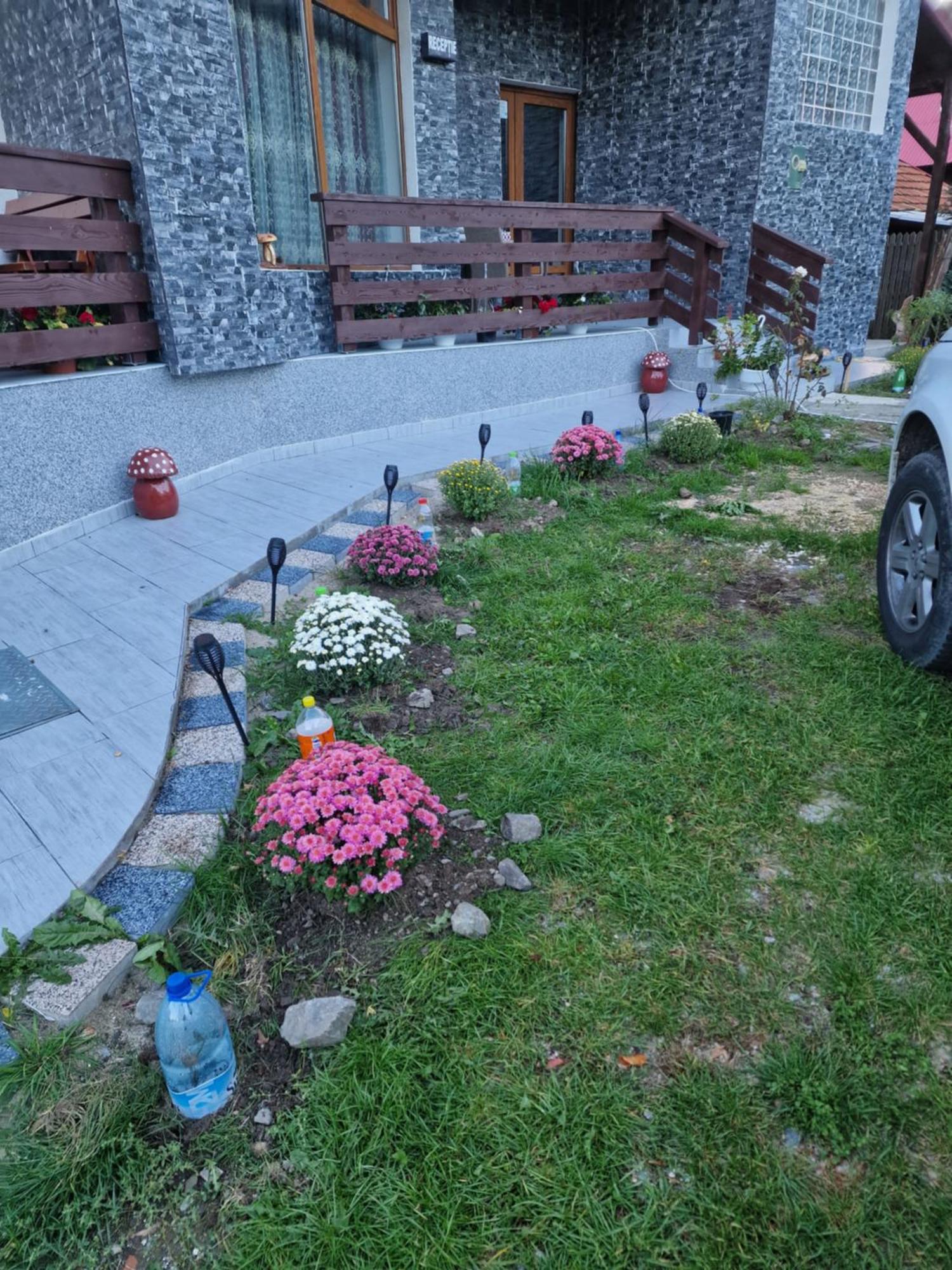 Pensiunea Ricky Căpăţîneni-Ungureni Buitenkant foto